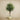 Trees-Artificial Olive Tree 180cm-Bloomr