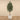Trees-Artificial Olive Tree <br> 210cm-Bloomr