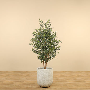 Trees-Artificial Olive Tree 165cm-Bloomr