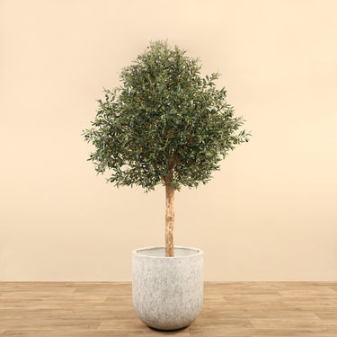 Trees-Artificial Olive Tree 240cm-Bloomr