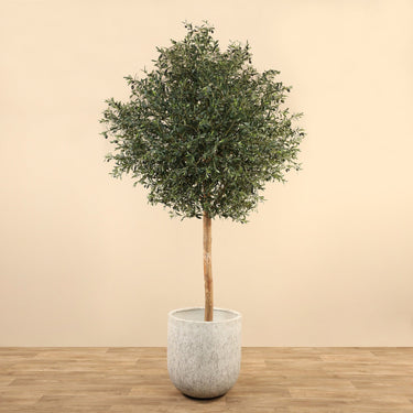 Trees-Artificial Olive Tree <br>300cm-Bloomr