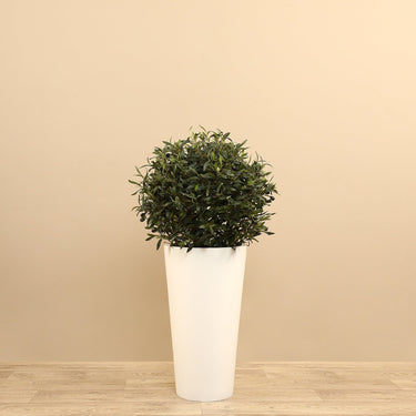 Trees-Artificial Olive Tree 90cm-Bloomr