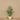 Trees-Artificial Palm Tree 115cm-Bloomr