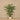 Trees-Artificial Palm Tree 165cm-Bloomr