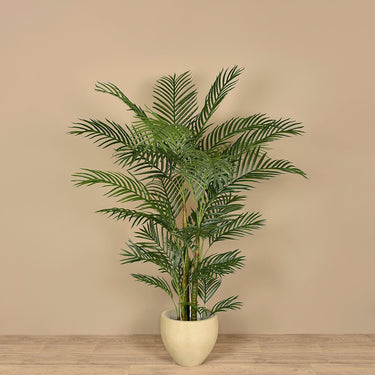 Trees-Artificial Palm Tree 165cm-Bloomr