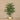 Trees-Artificial Palm Tree 210cm-Bloomr