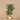 Trees-Artificial Palm Tree 190cm-Bloomr