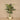 Trees-Artificial Palm Tree 150cm-Bloomr