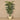 Trees-Artificial Palm Tree 210cm-Bloomr