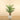 Trees-Artificial Palm Tree <br> 150cm-Bloomr