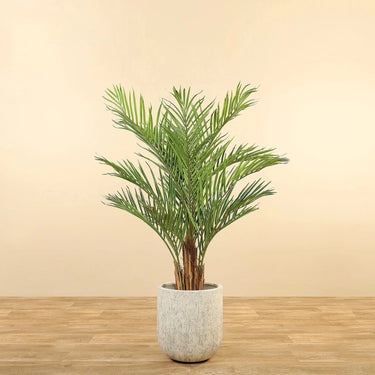 Trees-Artificial Palm Tree <br> 150cm-Bloomr