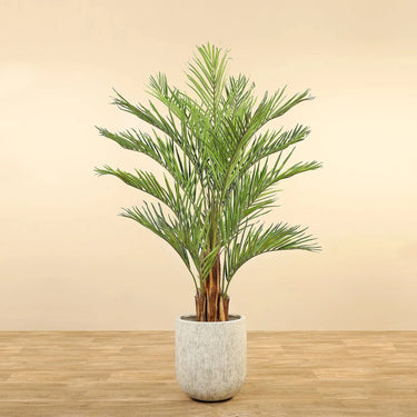 Trees-Artificial Palm Tree <br> 180cm-Bloomr