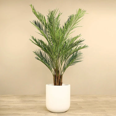 Trees-Artificial Palm Tree <br> 210cm-Bloomr