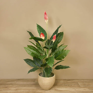 Trees-Artificial Peace Lily <br> 140cm-Bloomr