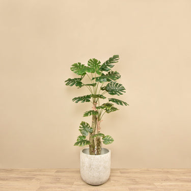 Trees-Artificial Philodendron Tree 180cm-Bloomr