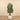 Trees-Artificial Raphis Palm 150cm-Bloomr