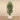 Trees-Artificial Raphis Palm 180cm-Bloomr