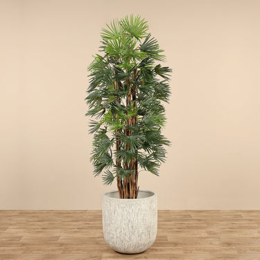 Trees-Artificial Raphis Palm 180cm-Bloomr
