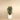 Trees-Artificial Raphis Palm 150cm-Bloomr