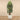 Trees-Artificial Raphis Palm <br> 210cm-Bloomr