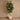 Trees-Artificial Rubber Plant 180cm-Bloomr