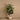 Trees-Artificial Rubber Plant 130cm-Bloomr