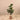 Trees-Artificial Rubber Plant <br> 120cm-Bloomr