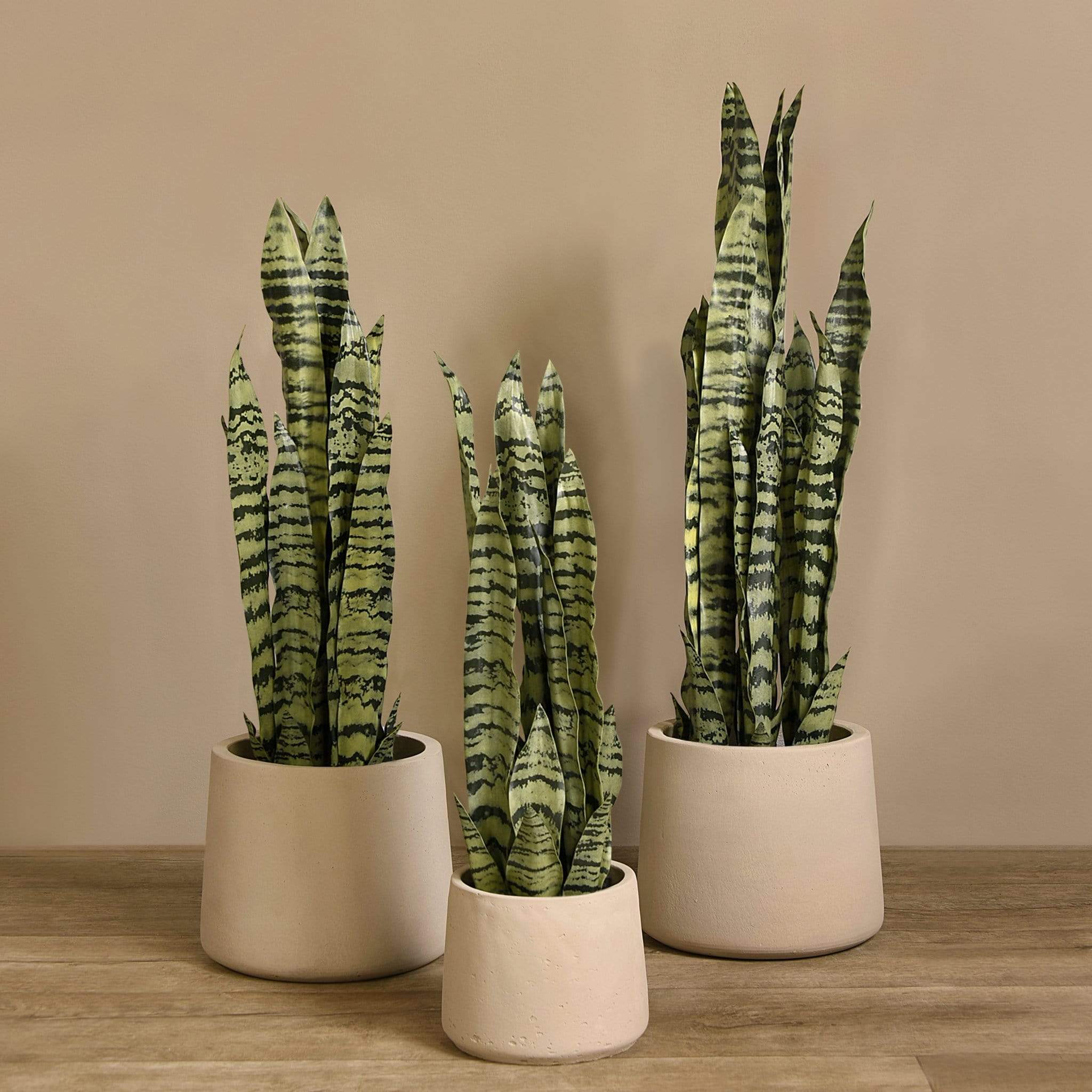 artificial sansevieria plant Artificial Sansevieria Plant 57cm|68cm|80cm – Bloomr
