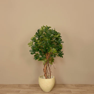 Trees-Artificial Schefflera Tree 120cm-Bloomr