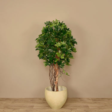 Trees-Artificial Schefflera Tree 150cm-Bloomr