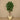 Trees-Artificial Schefflera Tree 180cm-Bloomr