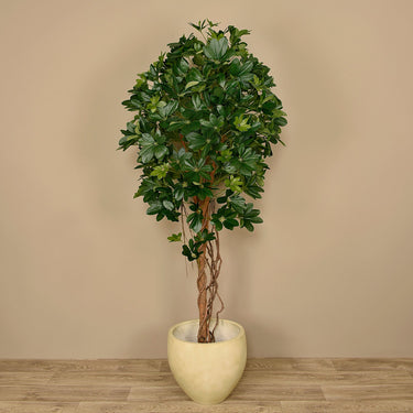 Trees-Artificial Schefflera Tree 180cm-Bloomr