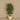 Trees-Artificial Smilax Tree 150cm-Bloomr