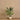 Trees-Artificial Strelitzia <br> 120cm-Bloomr
