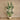Trees-Artificial Strelitzia 210cm-Bloomr