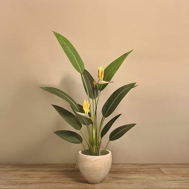 Trees-Artificial Strelitzia Palm 150cm-Bloomr