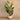 Trees-Artificial Strelitzia Palm 195cm-Bloomr