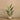 Trees-Artificial Strelitzia Palm 150cm-Bloomr