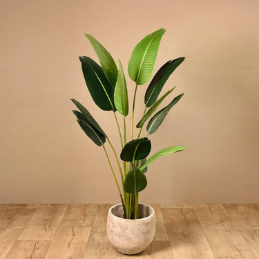 Trees-Artificial Strelitzia Palm 180cm-Bloomr