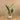 Trees-Artificial Strelitzia Palm 160cm-Bloomr
