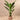 Trees-Artificial Strelitzia Tree 190cm-Bloomr