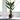 Trees-Artificial Strelitzia Tree 190cm-Bloomr
