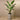 Trees-Artificial Strelitzia Tree 190cm-Bloomr