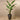 Trees-Artificial Strelitzia Tree 190cm-Bloomr