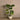 Trees-Artificial Taro Tree 105cm-Bloomr