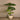 Trees-Artificial Taro Tree 135cm-Bloomr
