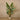 Trees-Artificial Travelers Palm Tree 180cm-Bloomr