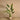 Trees-Artificial Travelers Palm Tree 150cm-Bloomr