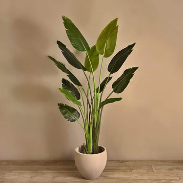 Trees-Artificial Travelers Palm Tree 180cm-Bloomr