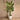 Trees-Artificial Travelers Palm Tree 235cm-Bloomr